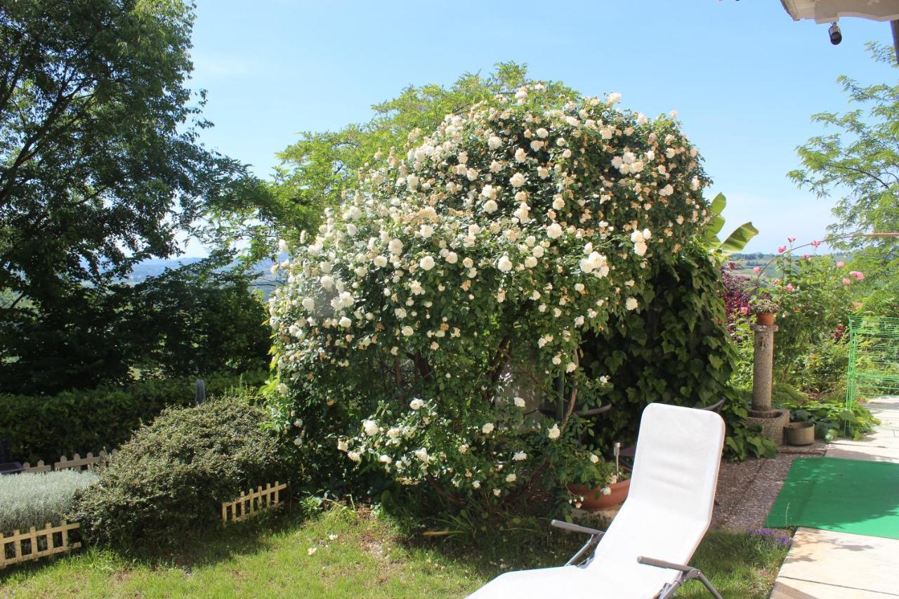 오짜노 몬페라토 La Terrazza Sul Monferrato 아파트 외부 사진