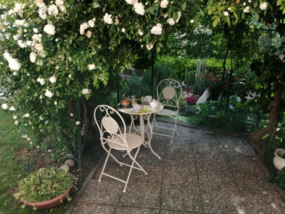 오짜노 몬페라토 La Terrazza Sul Monferrato 아파트 외부 사진